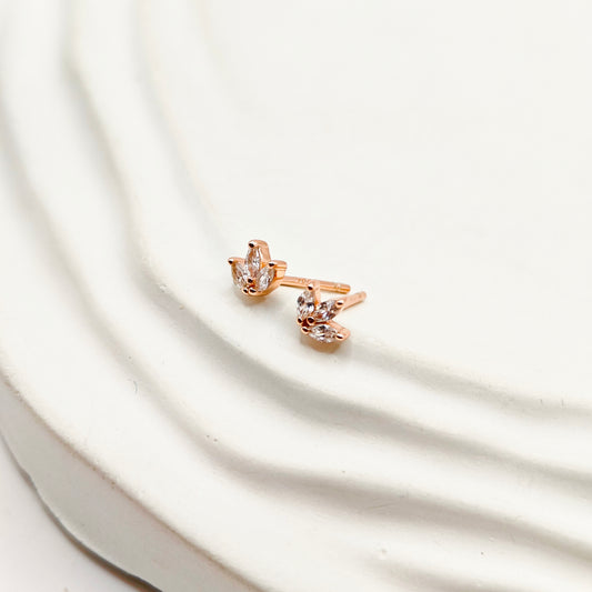 Fioana Rosegold Plated Earrings 925 Silver